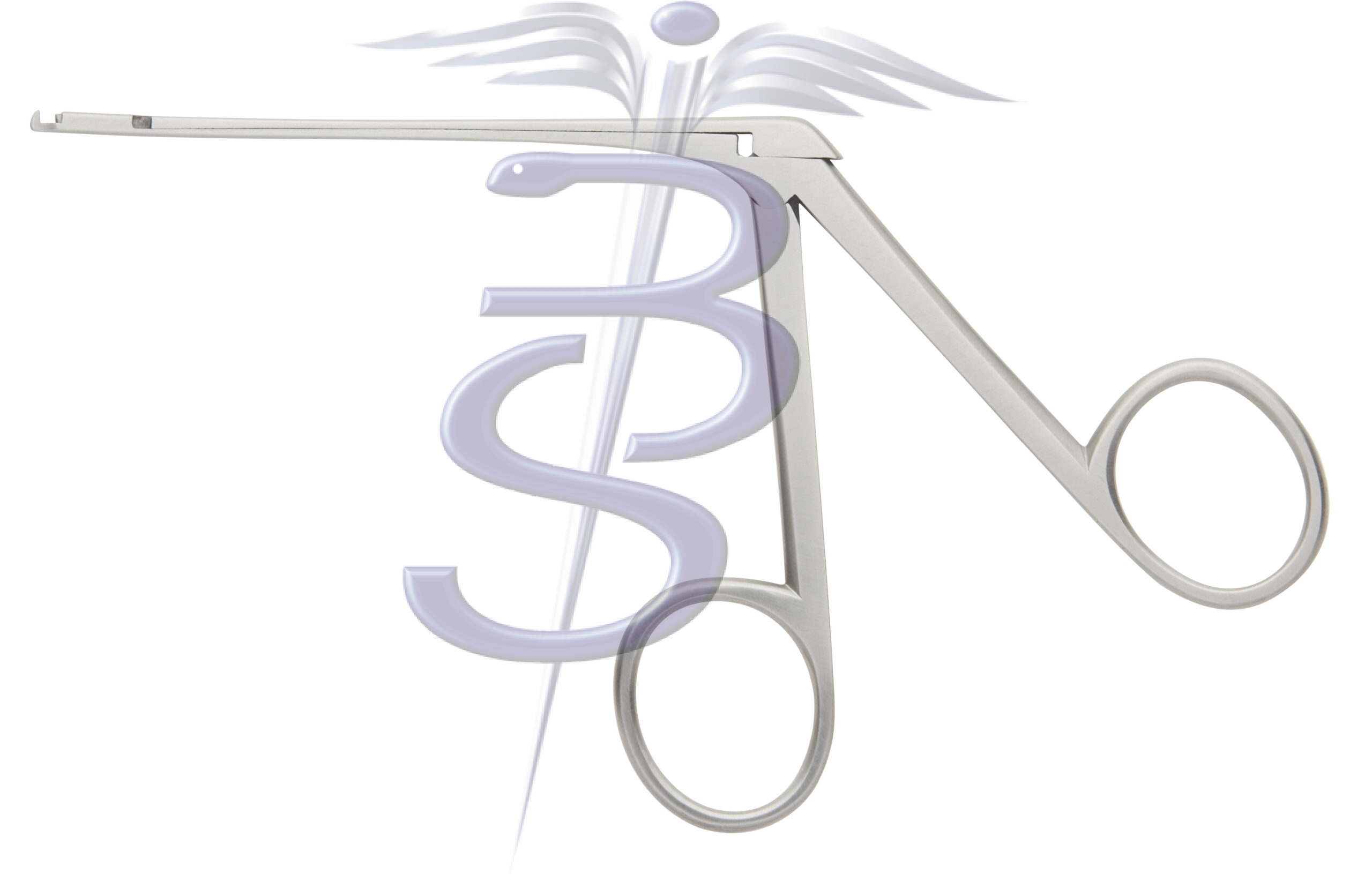 House Dieter Malleus Nipper