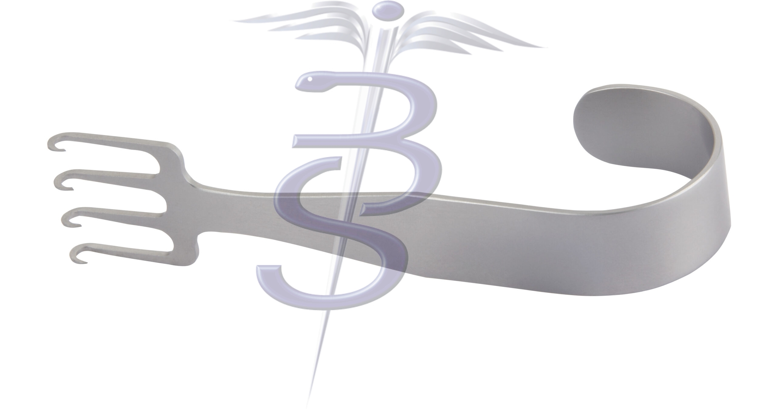 Freeman Rake Retractor